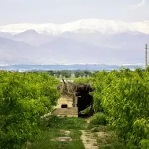 نمونه کار عکاسی مناظر توسط تاجیک 